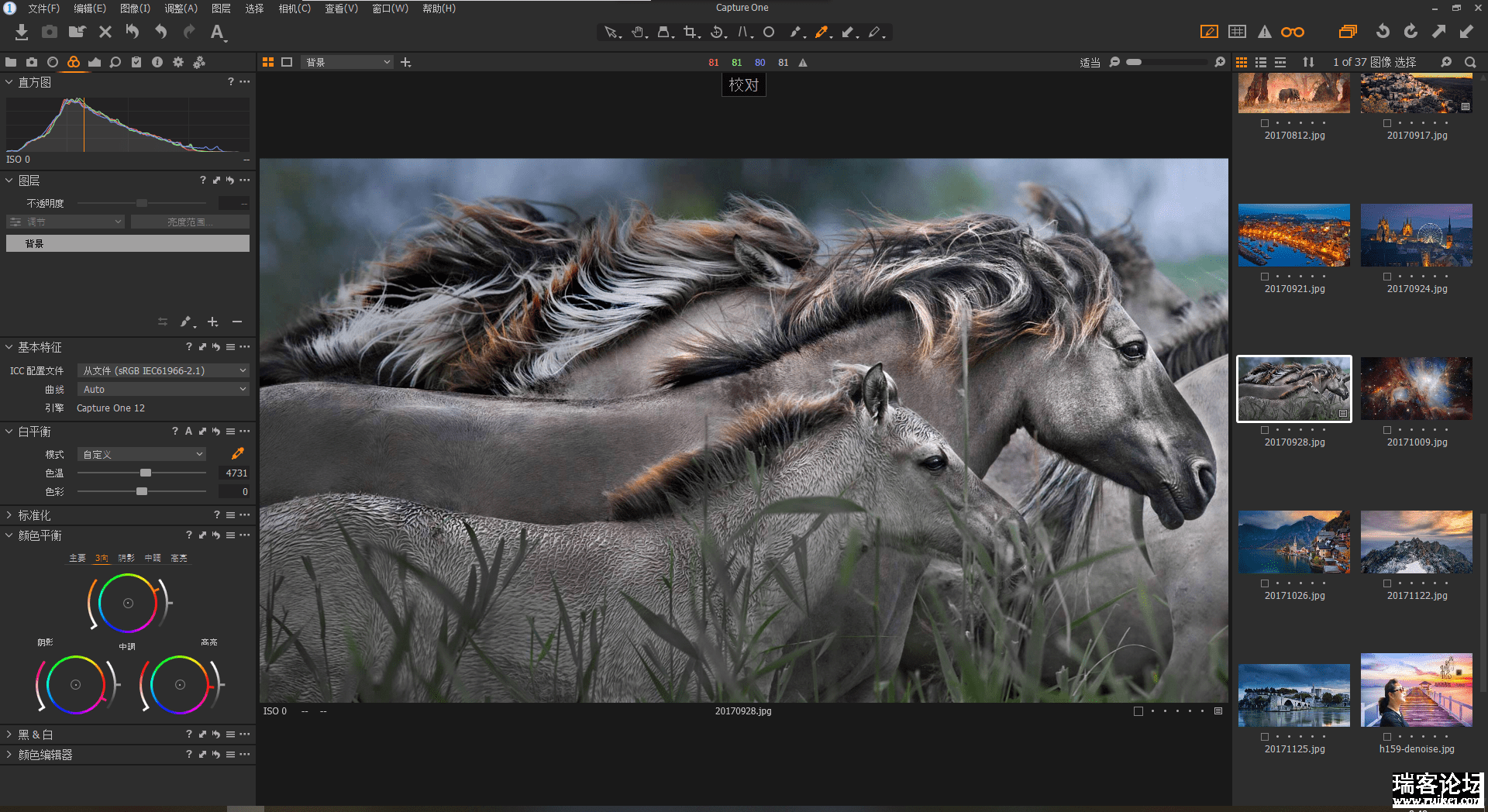 ˼Capture One Pro 12.1.2.17 +ʽۼ299ԪۺԼ2000Ԫ-2.png