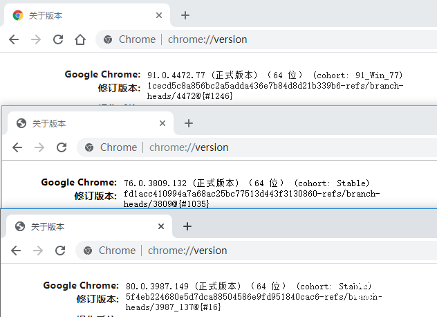 Я桿chrome 76汾80汾-1.png