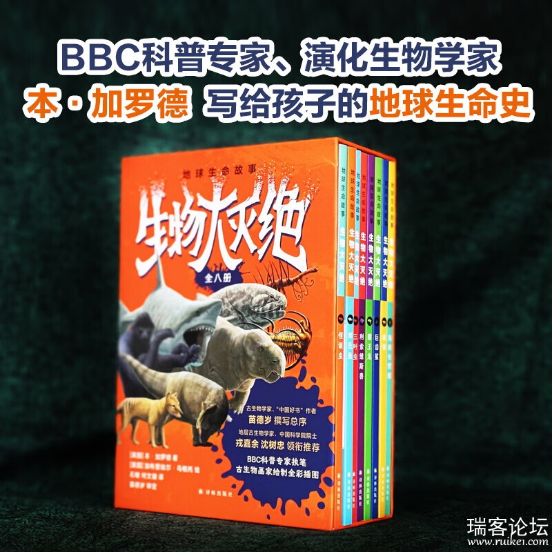 bae1d861cd64375e.jpg