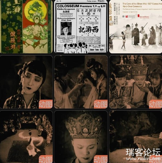 IMAGE 2026-01-25 15:04:07.jpg